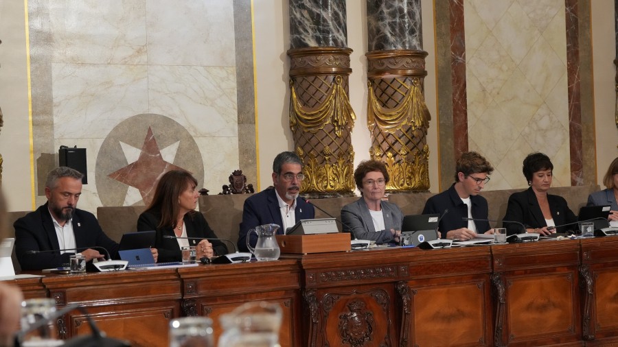 Eneko Goia - Politika Orokorreko Udalbatzarra