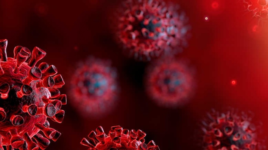 Bizkaiak zergen arloko neurri batzuk onetsi ditu Covid-19 birusak sortu duen osasun-larrialdiaren ondorio ekonomikoak arintzeko