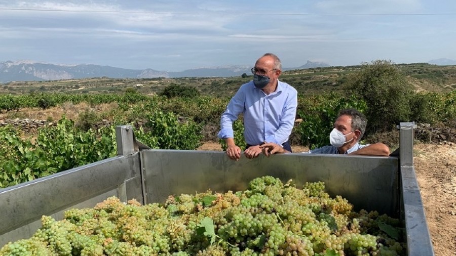 El diputado general pide “responsabilidad y compromiso real” a las grandes bodegas a la hora de establecer los precios de la uva