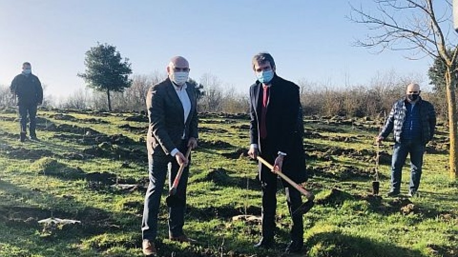 Vitoria-Gasteiz incorpora un nuevo bosque de 1.000 robles en Zabalgana