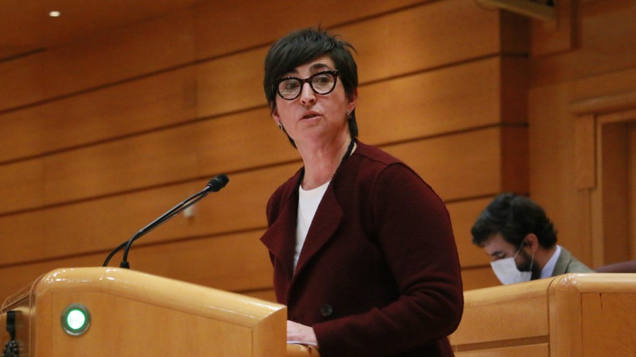 EAJ-PNVk webgune eta aplikazio informatikoek irisgarritasun-baldintza guztiak bete behar izatea ahalbidetu du