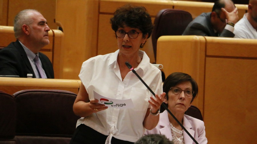 Maribel Vaquero pide al Gobierno español que actúe para lograr la restitución de los derechos de Pablo González y un proceso judicial justo e inmediato