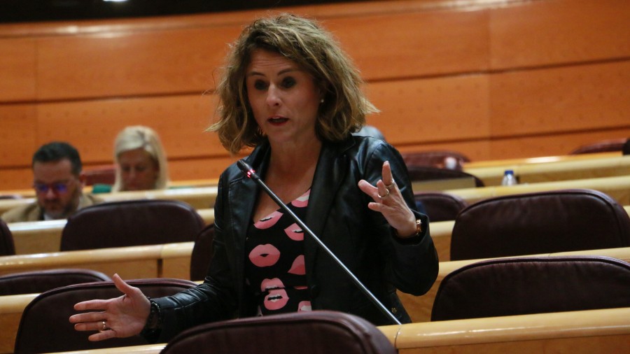 EAJ-PNVk Kultura Bonu Gaztea eskuratzeko izapideak errazteko eskatu dio Kultura ministroari