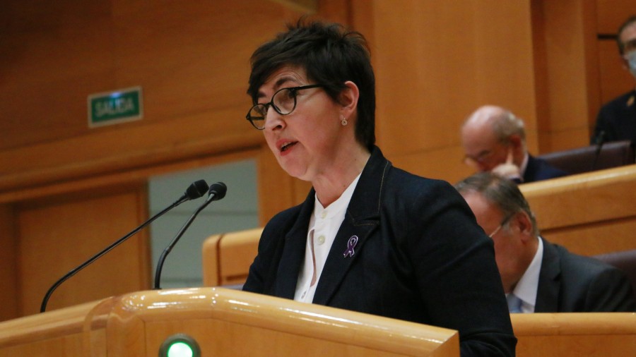 María Dolores Etxano aboga por la prudencia y el rigor ante la solicitud de modificar la Ley de garantía integral de la libertad sexual