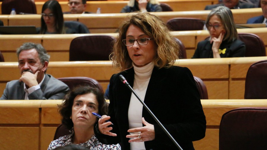 Almudena Otaolak kultur elkarte profesionalak legitimatzea eskatu du euren bazkideen izenean auzitan aritzeko