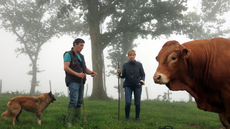 “Necesitamos un medio rural vivo y municipios pequeños dinámicos que garanticen en el futuro el equilibrio verde territorial de Gipuzkoa”