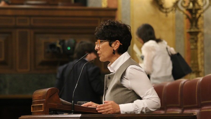 El Grupo Vasco critica que el Gobierno propone solo una 