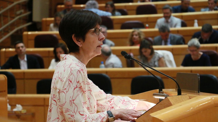 EAJ-PNV denuncia que el PP “busca arrinconar el euskera e invisibilizar a nuestro Pueblo”