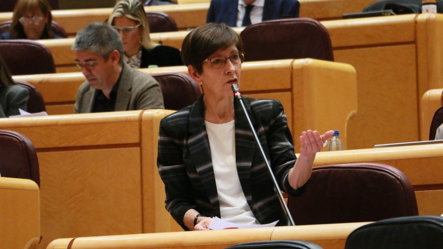 EAJ-PNV reclama al ministro Ángel Víctor Torres madurez democrática para “reformar ya” la Ley de Secretos Oficiales